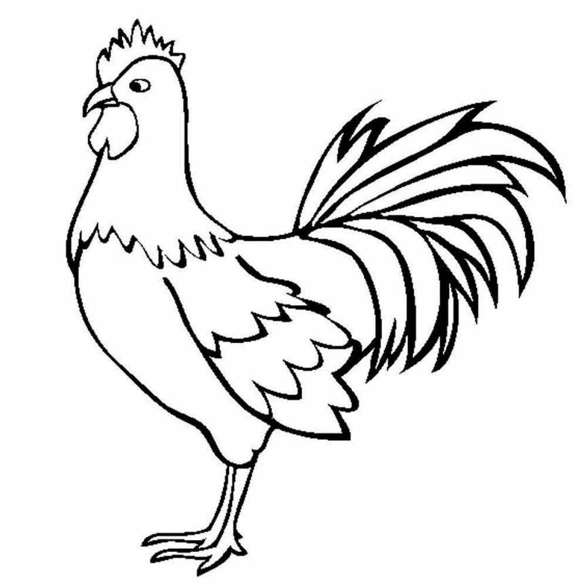 Colouring funny rooster