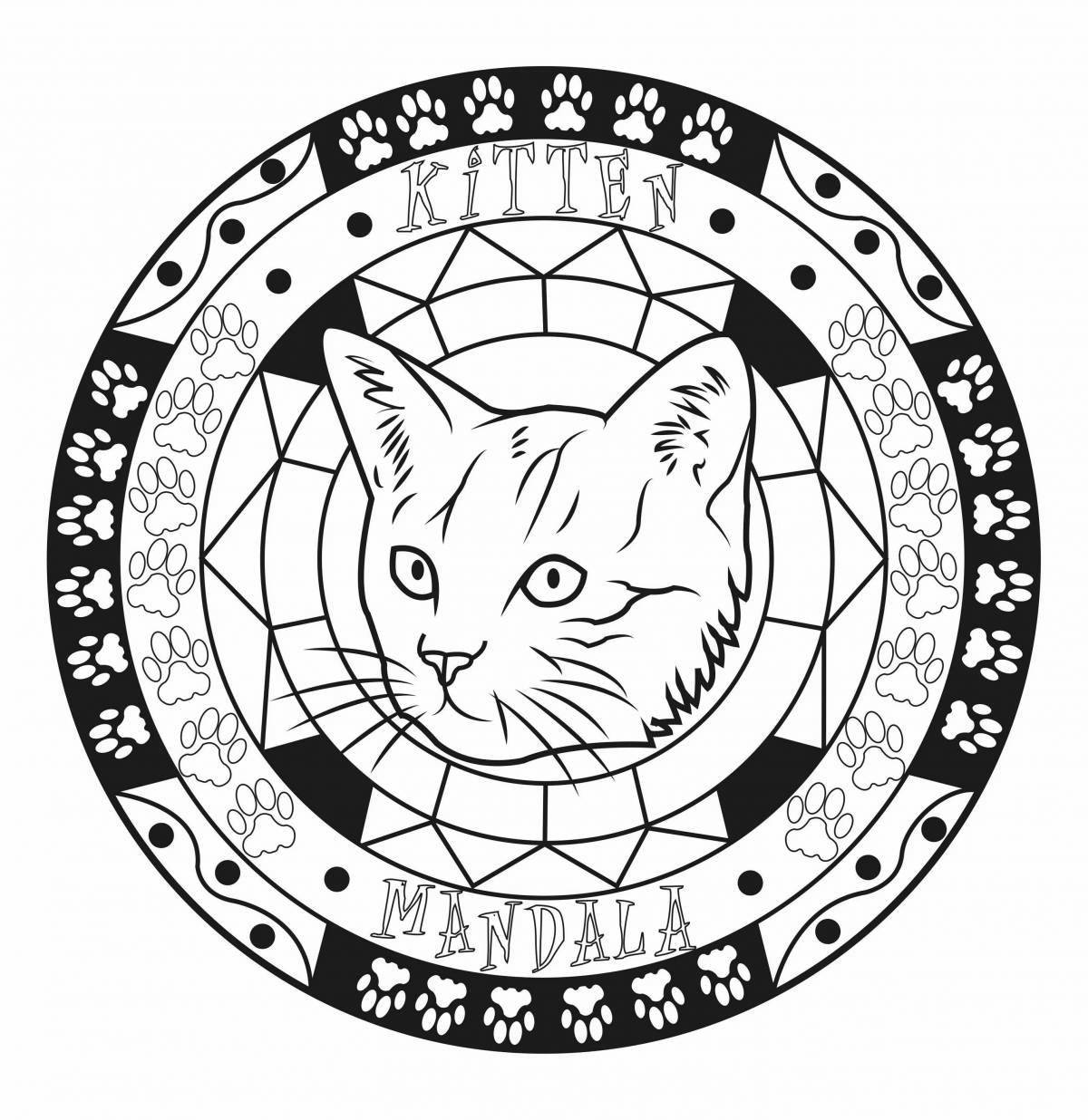 Gorgeous cat mandala coloring book