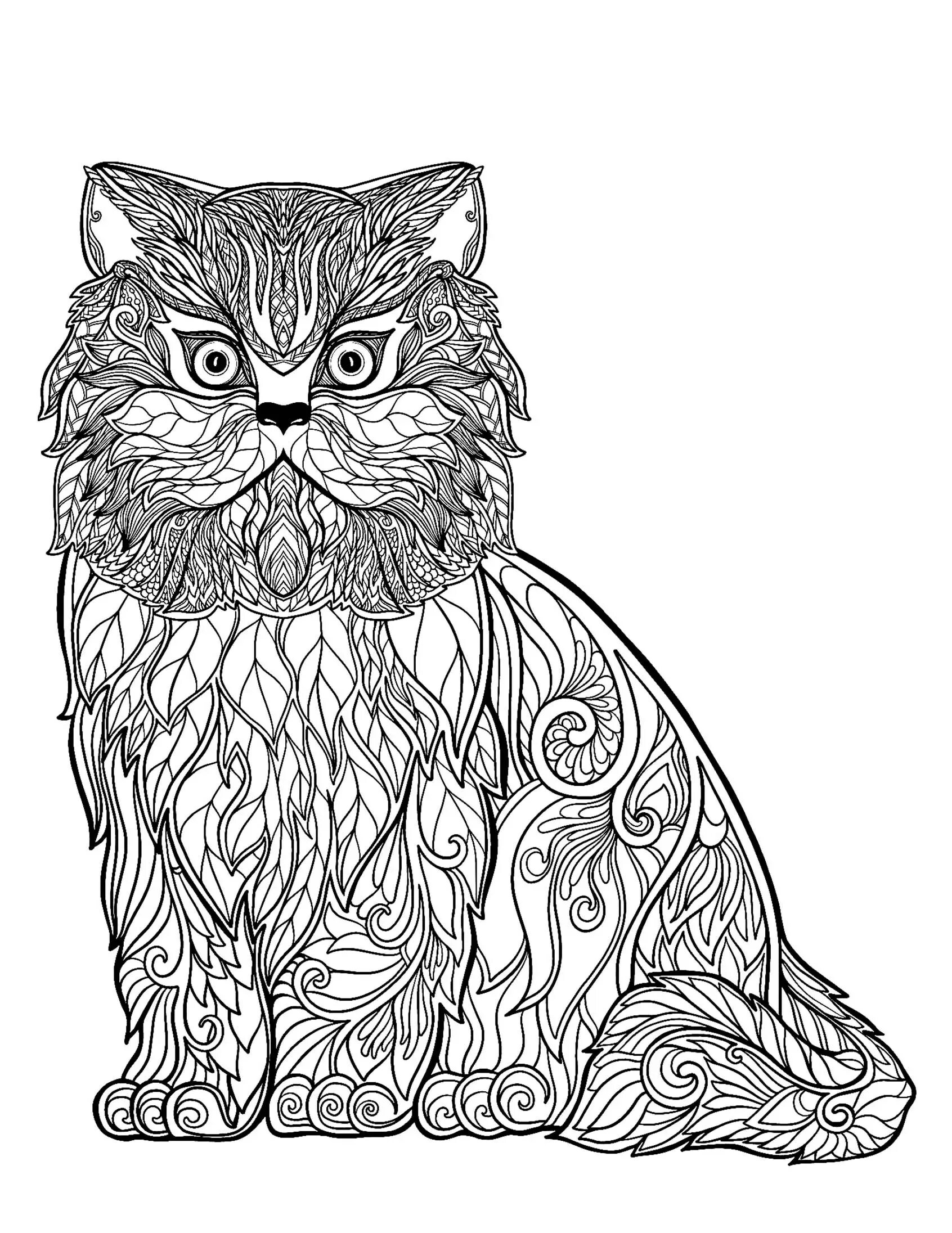 Художественная раскраска мандала кошка