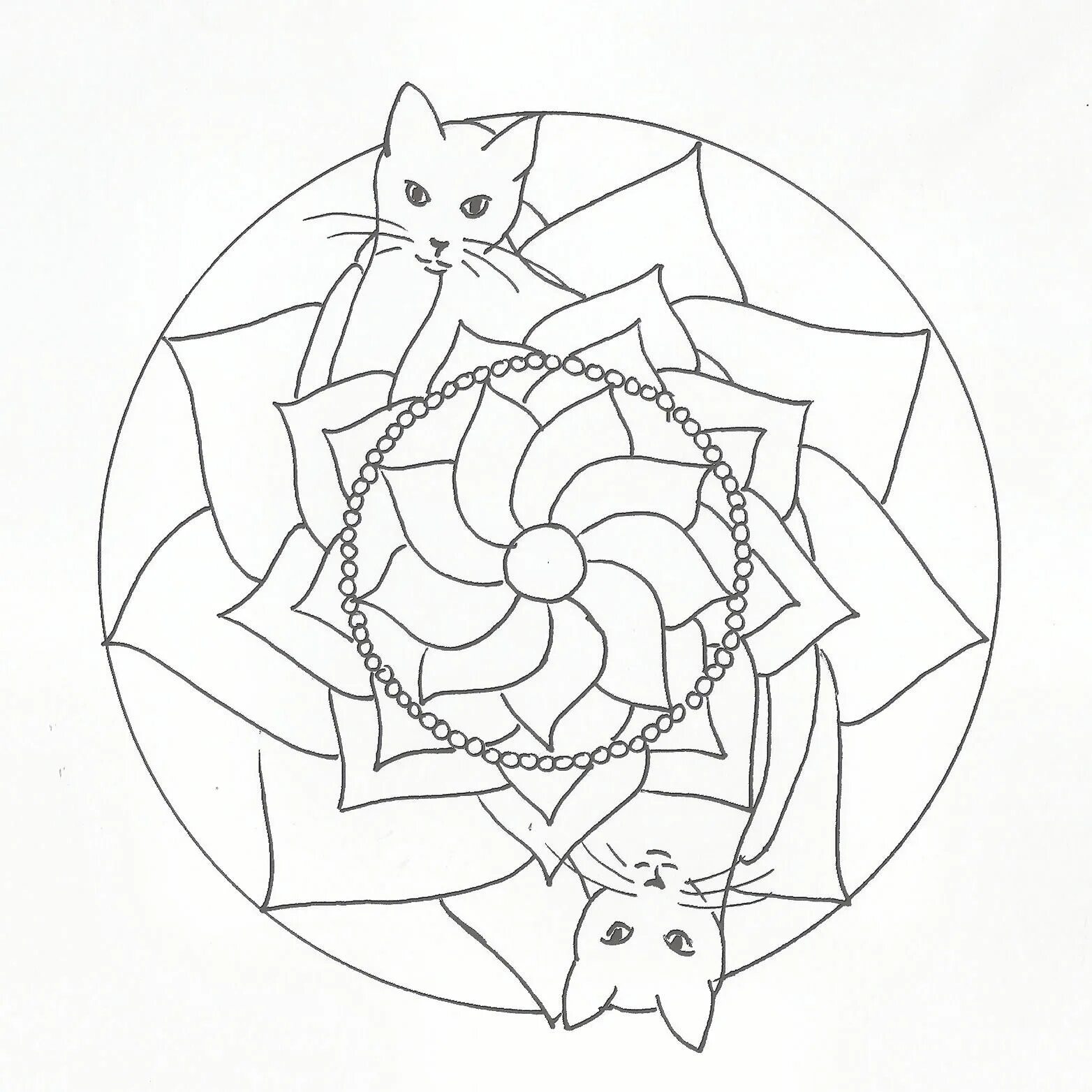 Fascinating cat mandala coloring book