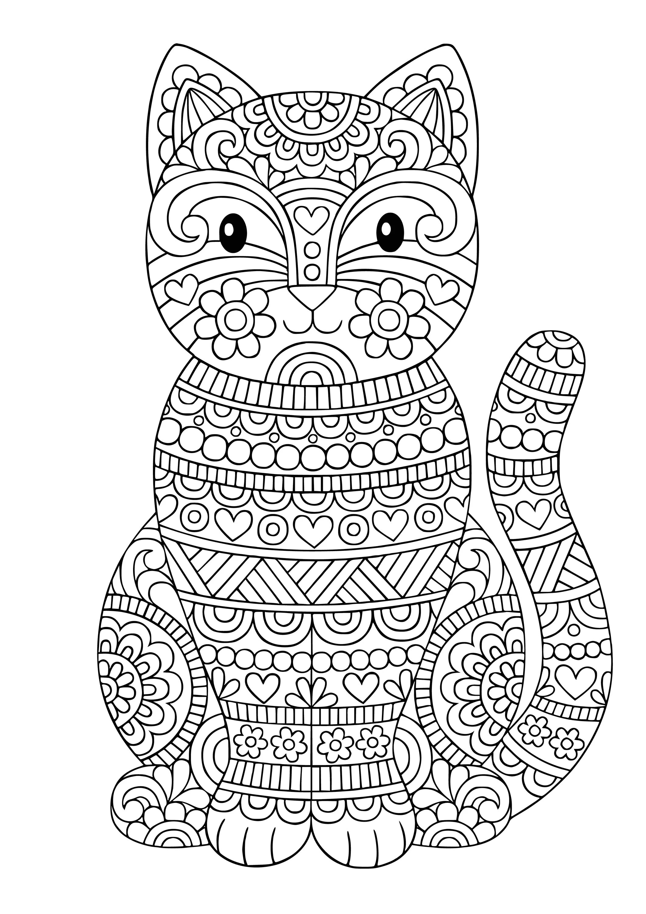 Magic coloring mandala cat