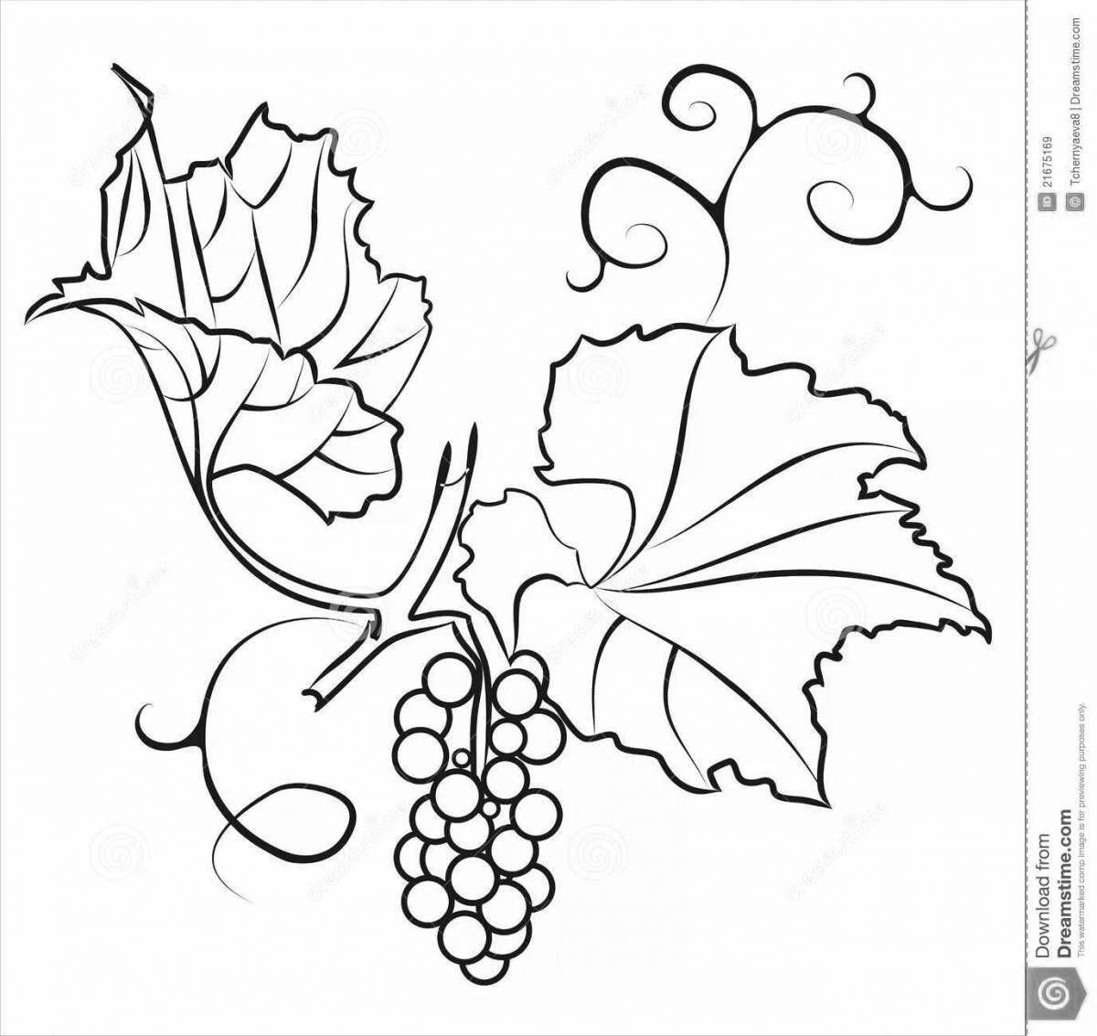 Великолепная раскраска виноградные листья