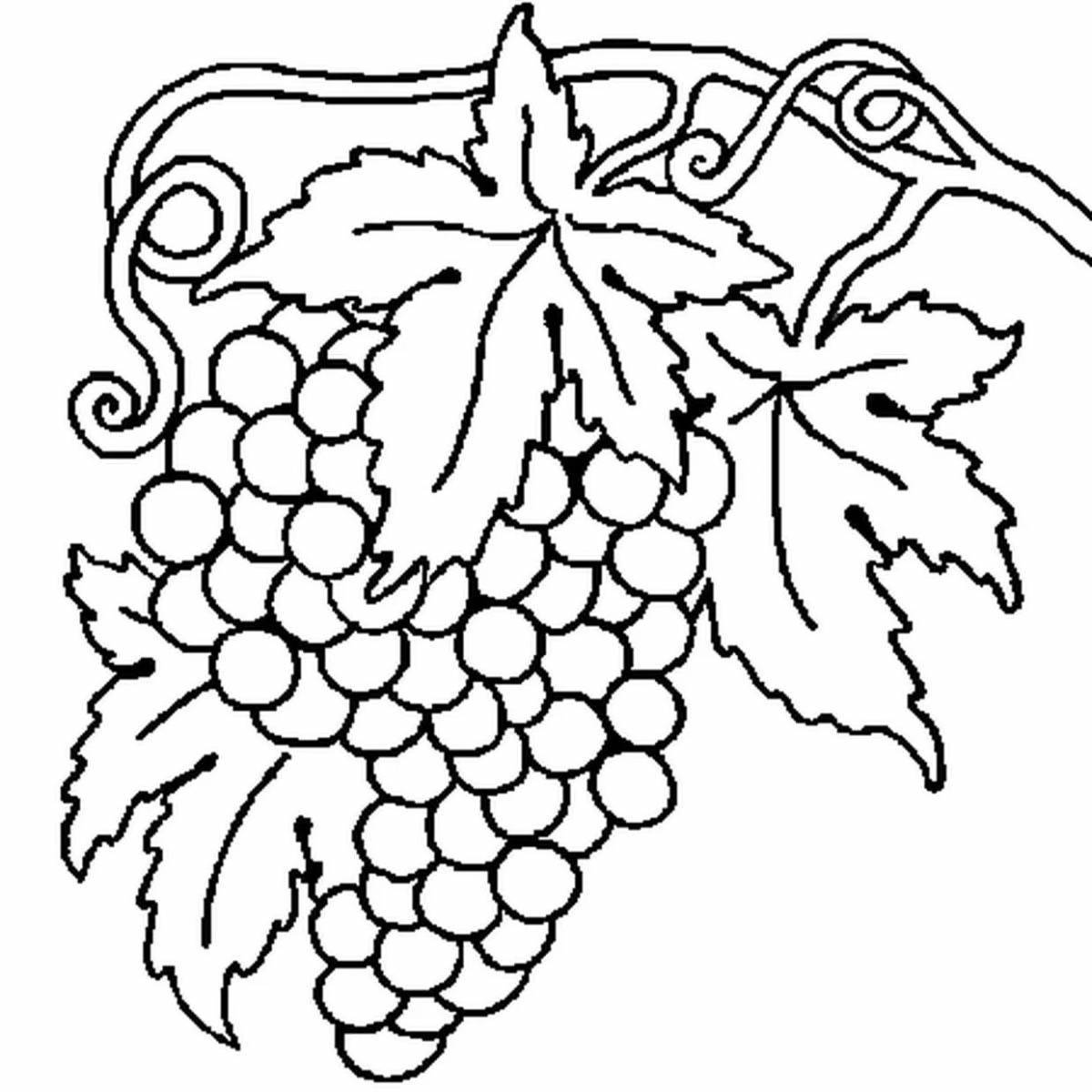 Красочная раскраска виноградные листья