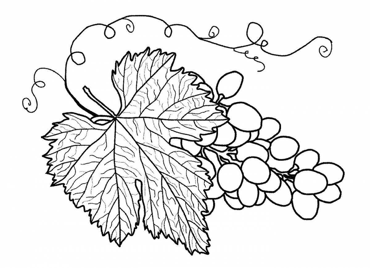 Листья винограда #4