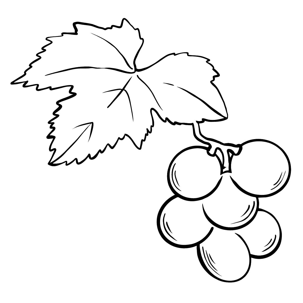 Листья винограда #11