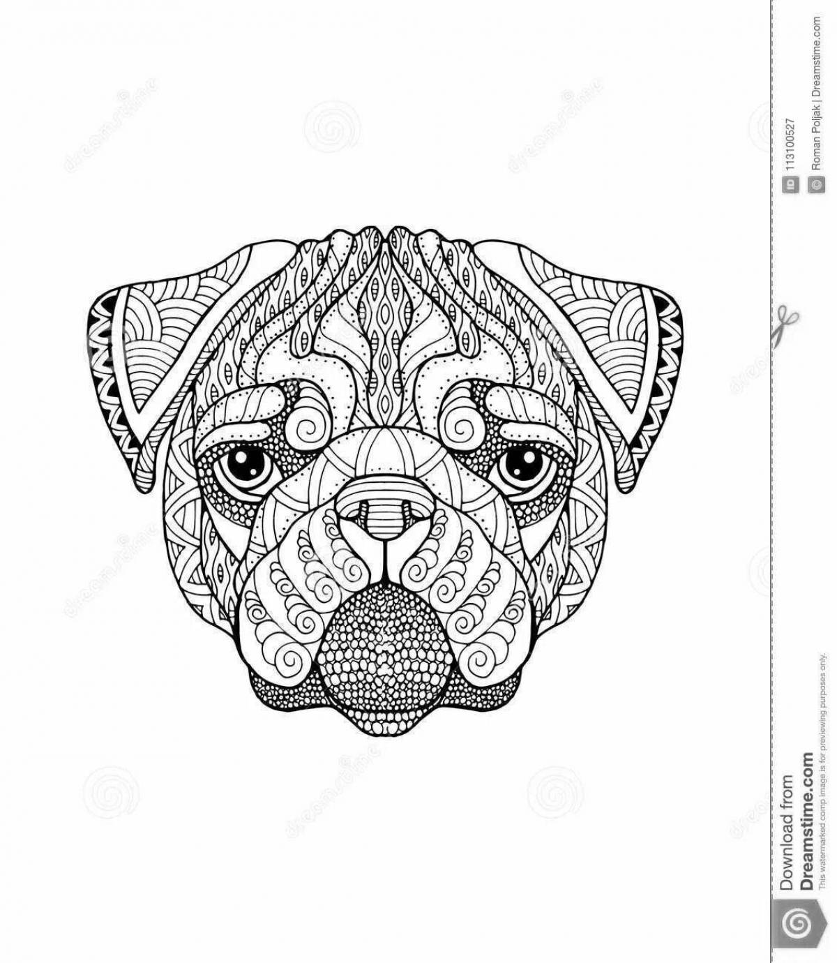 Delightful coloring pug antistress