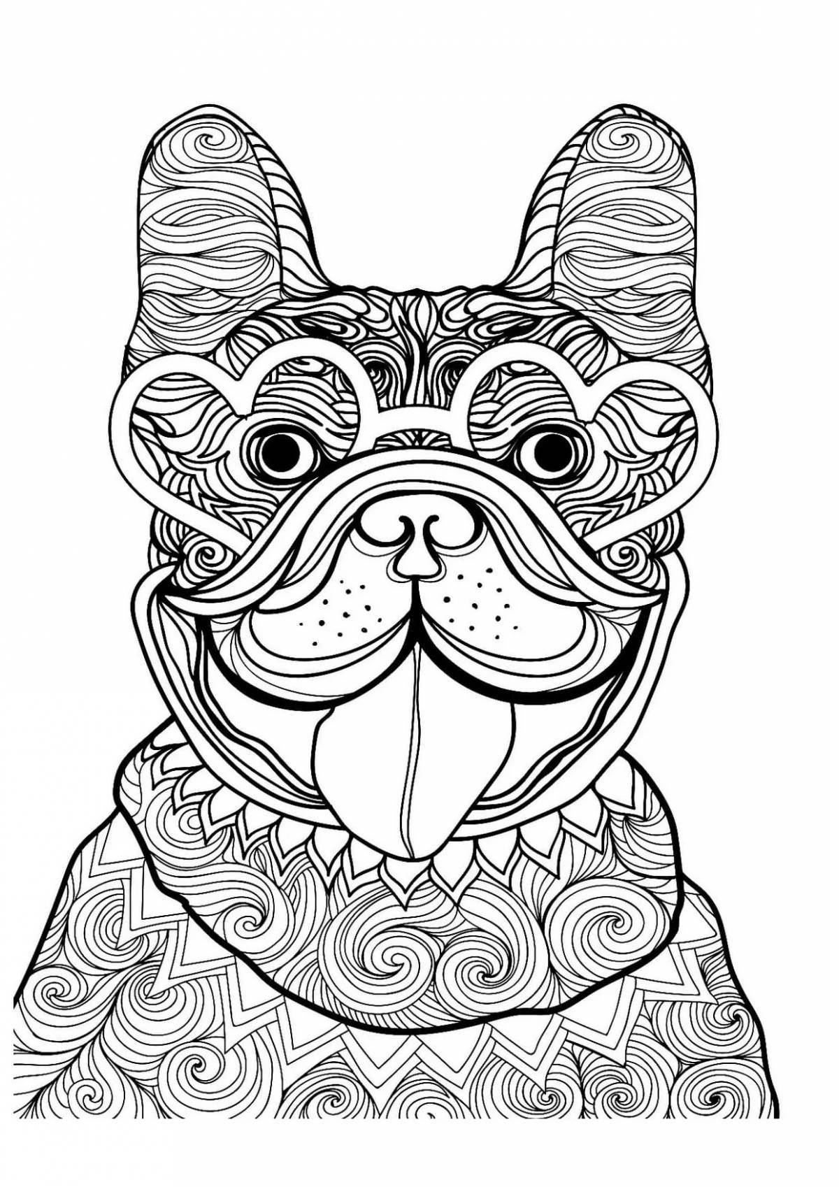 Fun coloring pug antistress