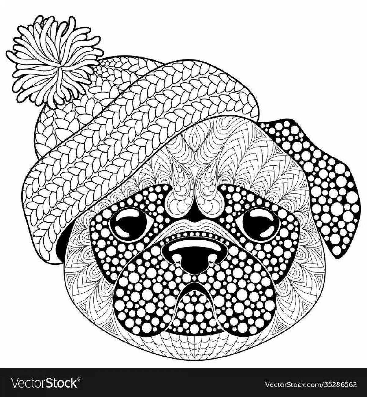 Funny coloring pug antistress