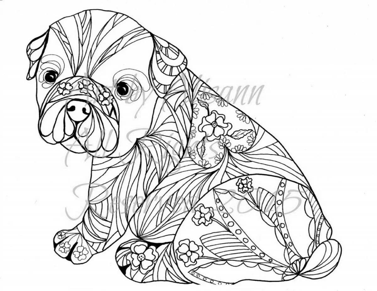 Witty coloring pug antistress