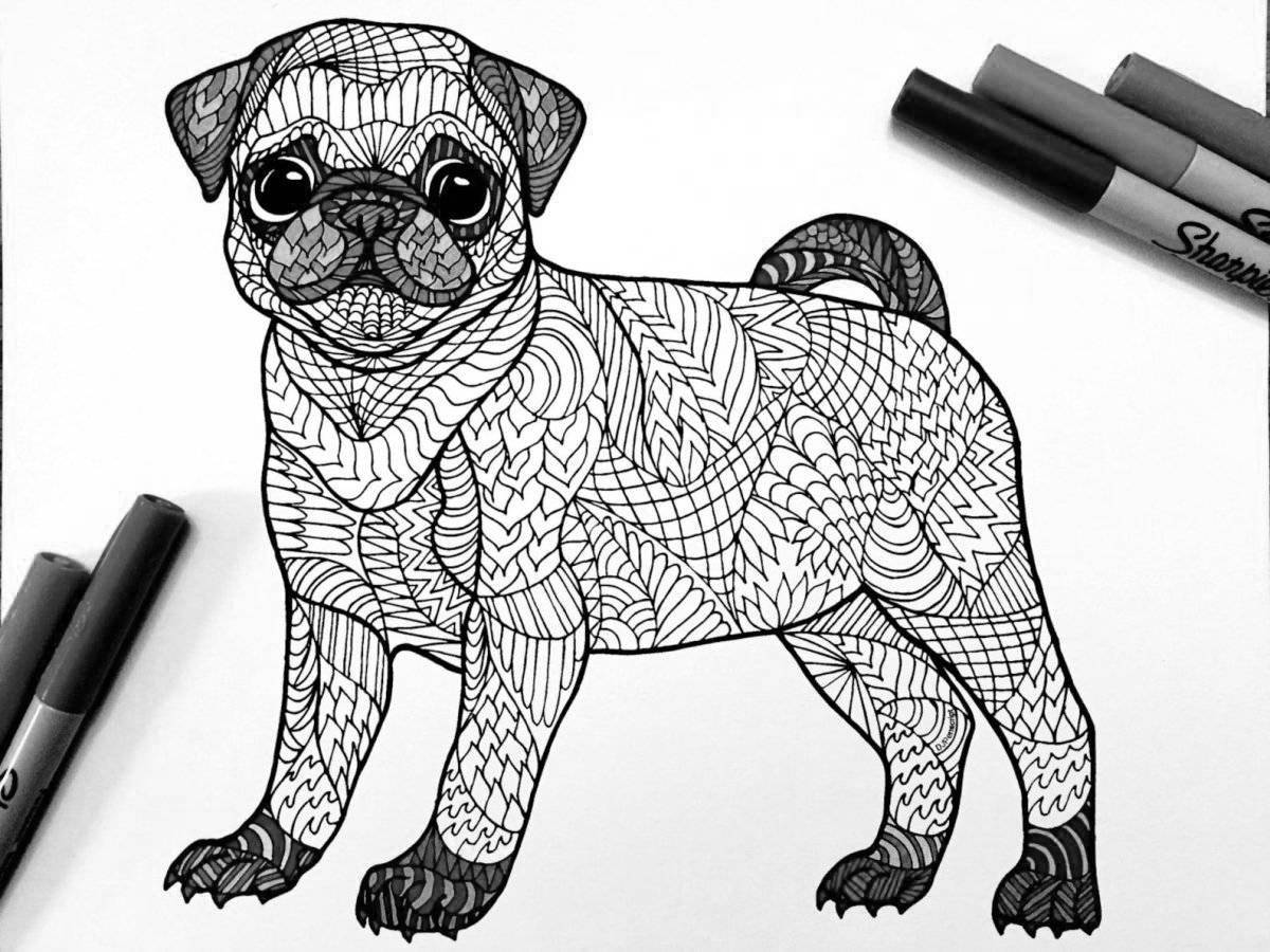 Sparkling coloring pug antistress