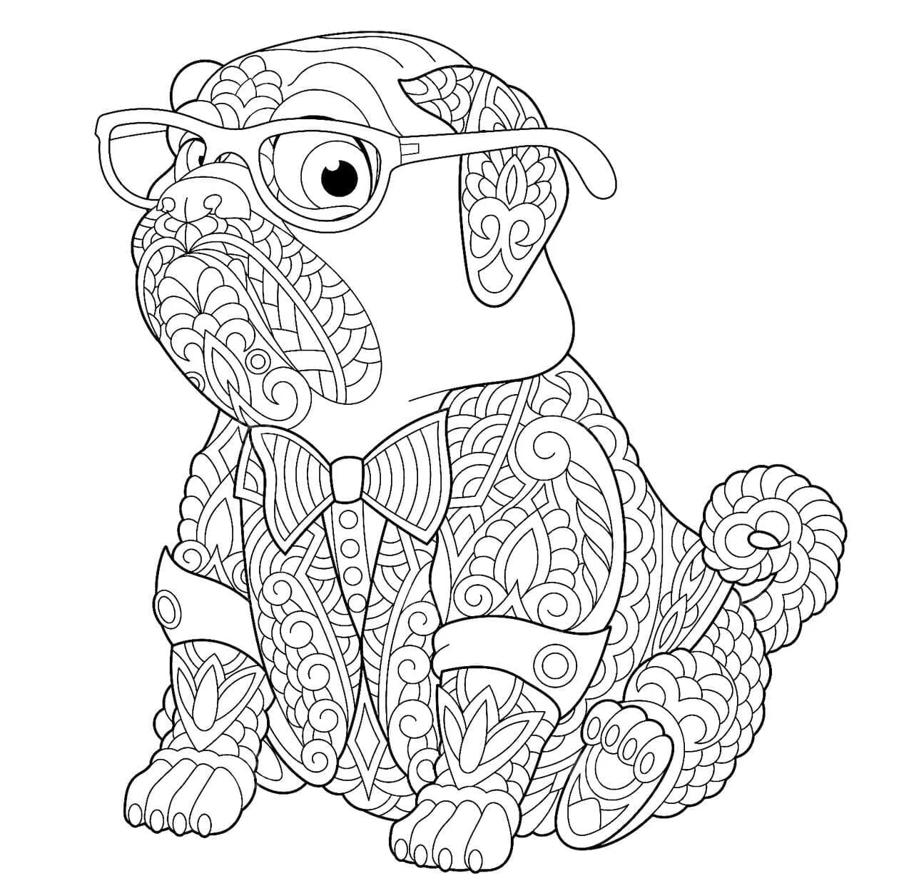 Spicy coloring anti-stress pug