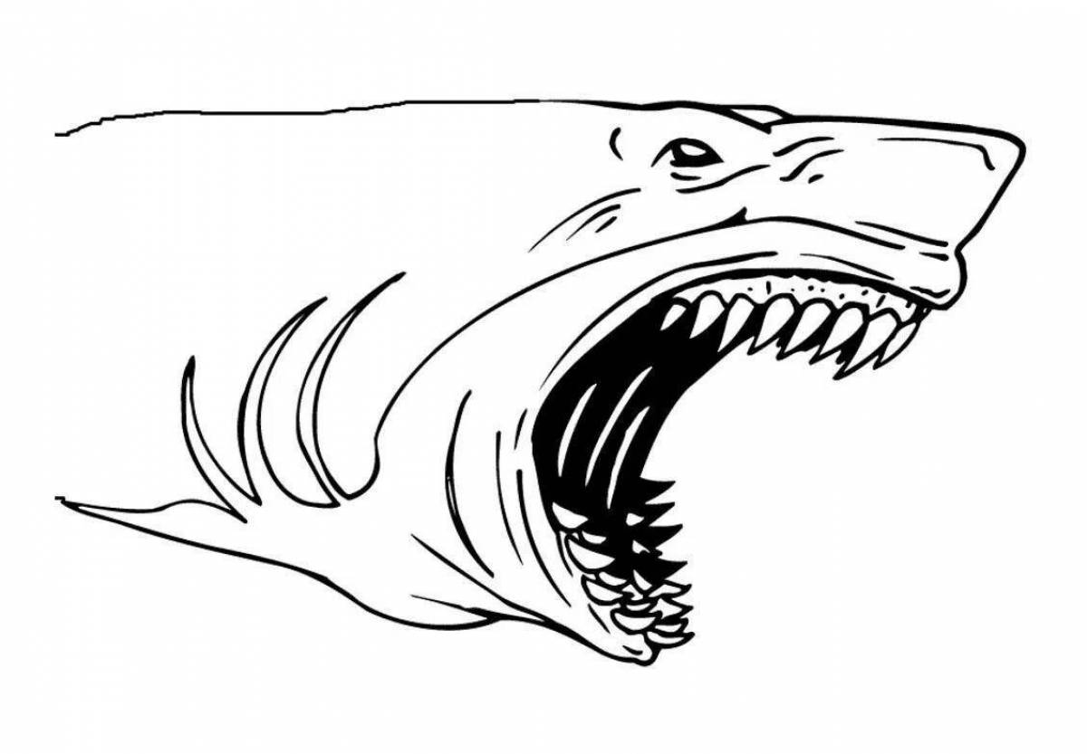 Coloring book angry angry shark