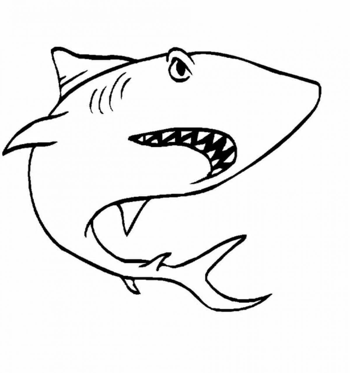 Coloring book cheeky angry shark