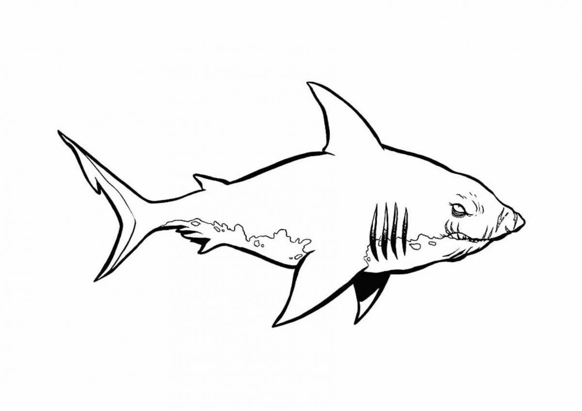 Раскраска «поразительная злая акула»