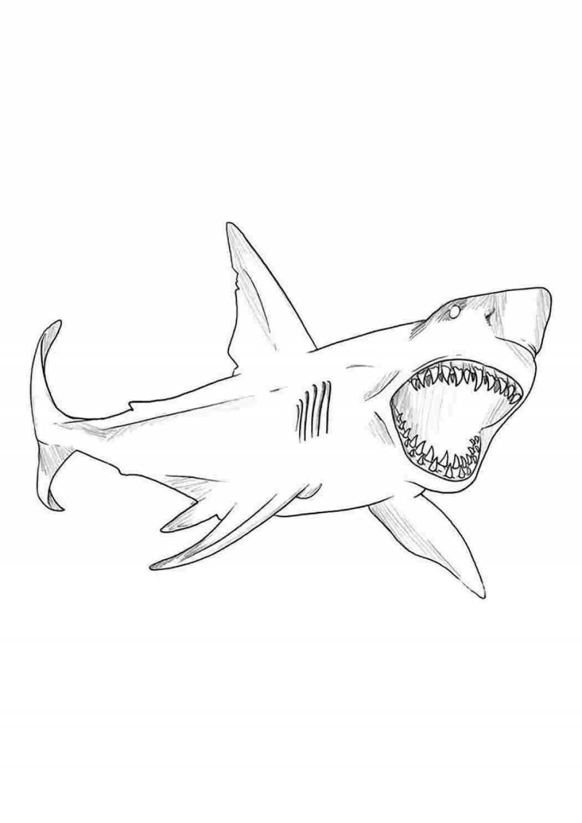 Великолепная раскраска angry shark