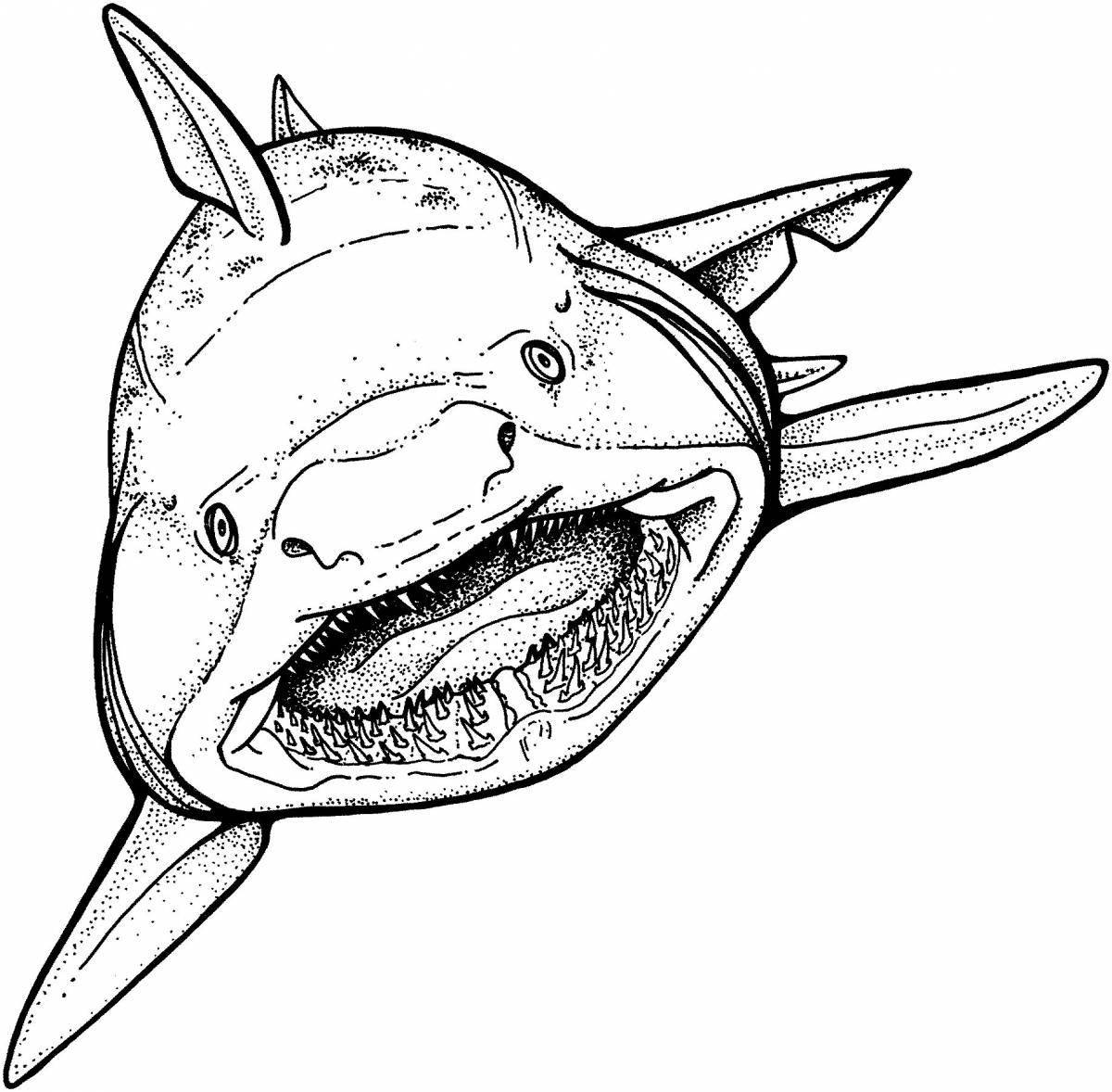 Gorgeous Angry Shark Coloring Page