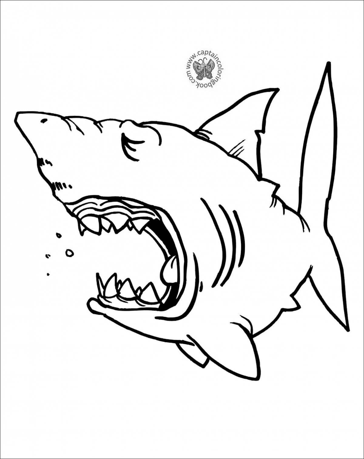 Coloring book shining angry shark