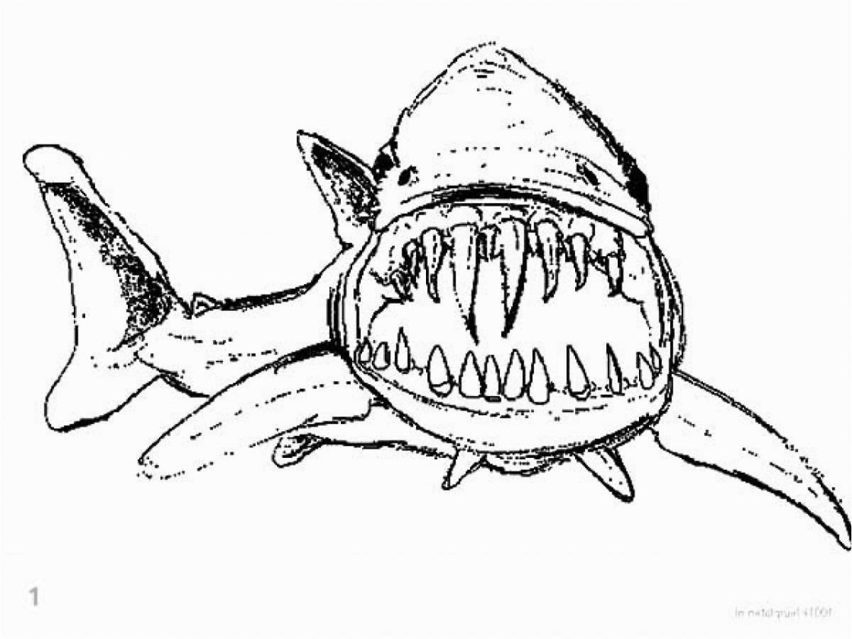 Colorful angry shark coloring page
