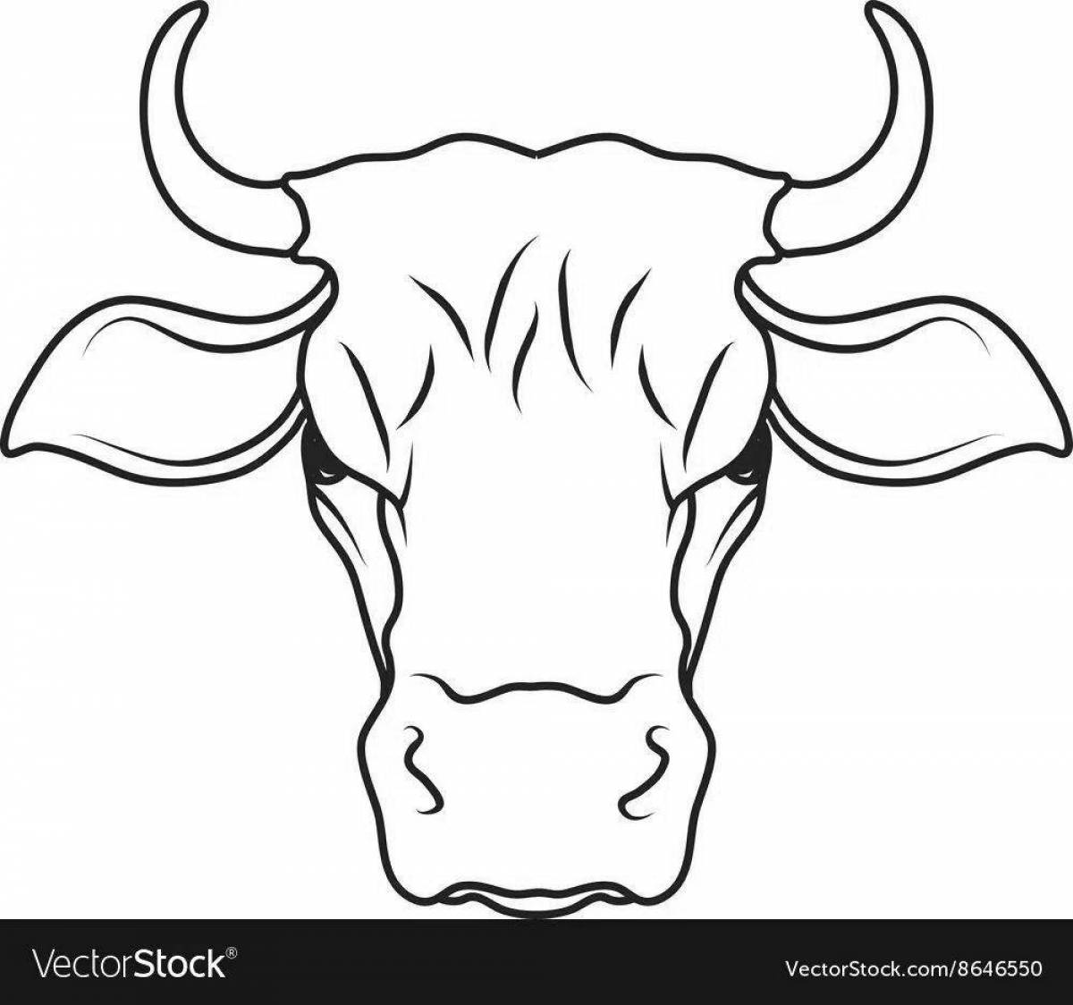 Coloring funny cow head