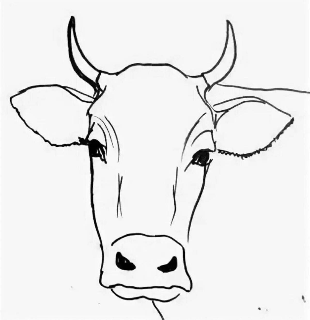 Раскраска голова счастливой коровы