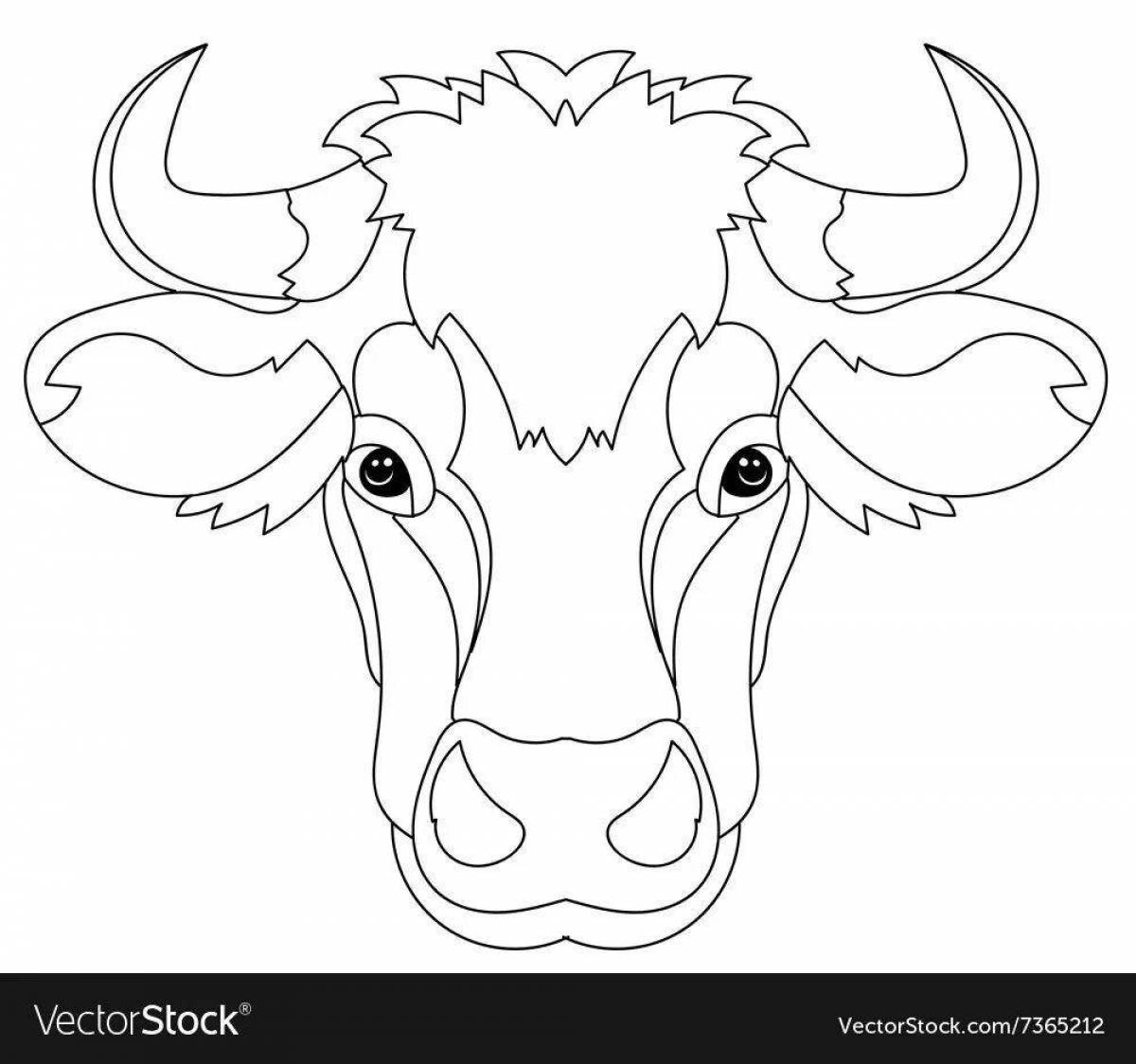 Coloring cute cow head