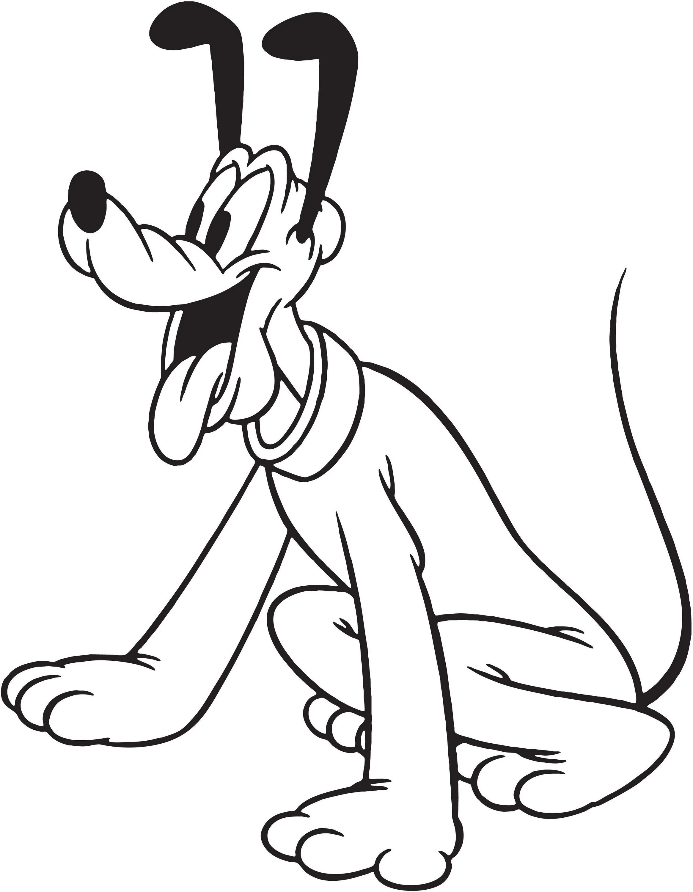 Coloring book funny cartoon dog