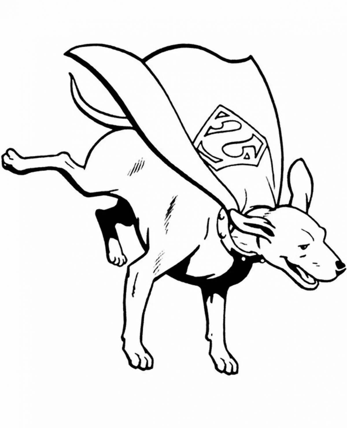 Раскраска авантюрная собака-супергерой