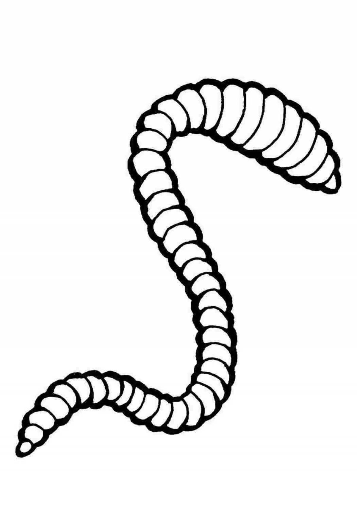 Раскраска splendid bridge worm