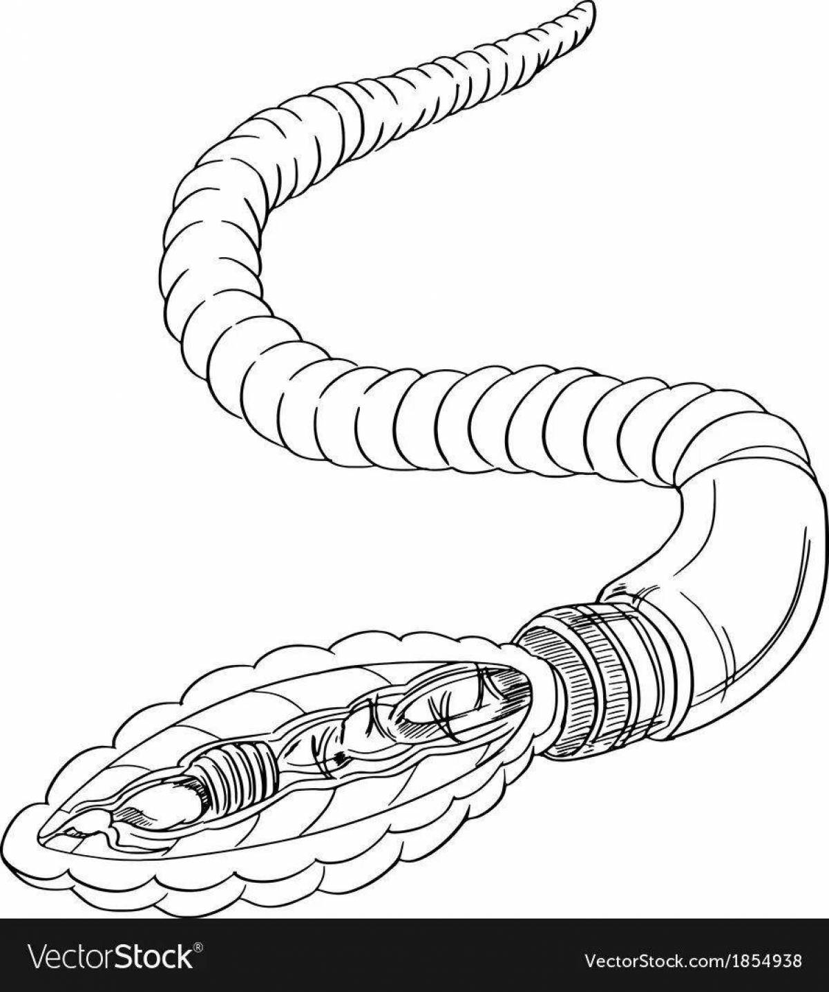 Раскраска joyous bridge worm