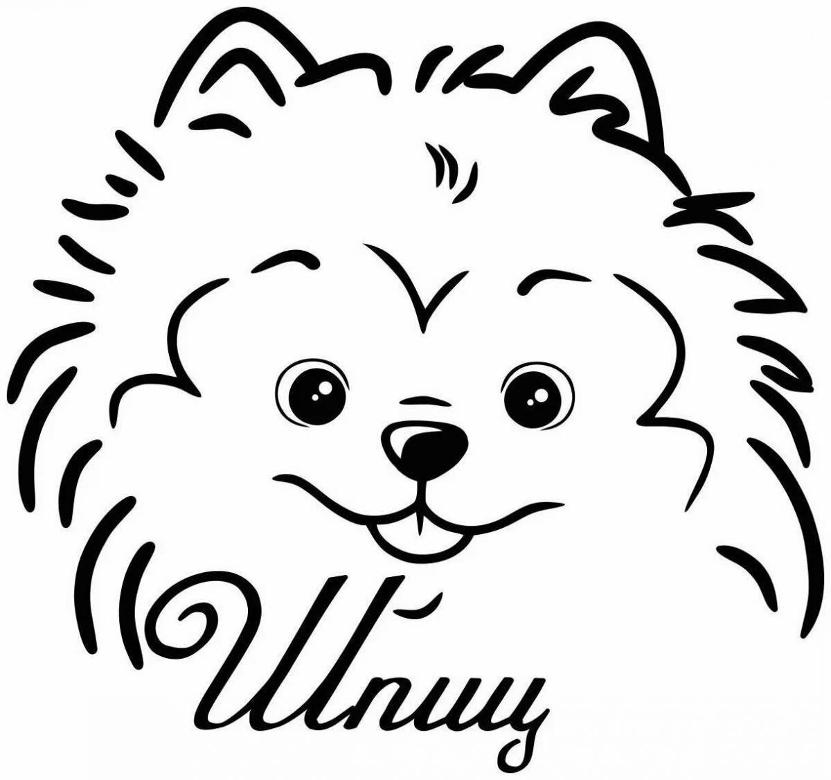 Photo Joyful spitz drawing