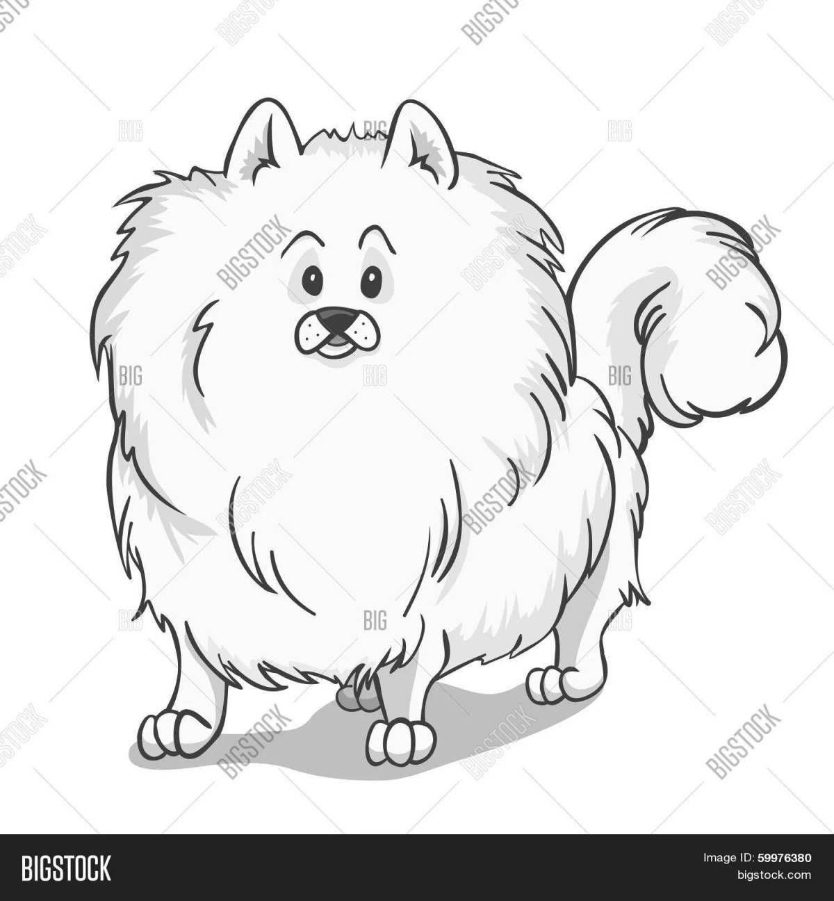 Impressive drawing of a spitz