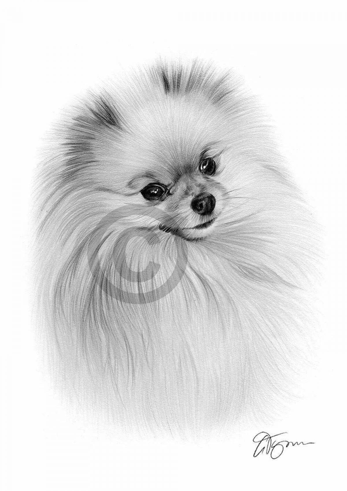 Photo Creative drawing of a pomeranian