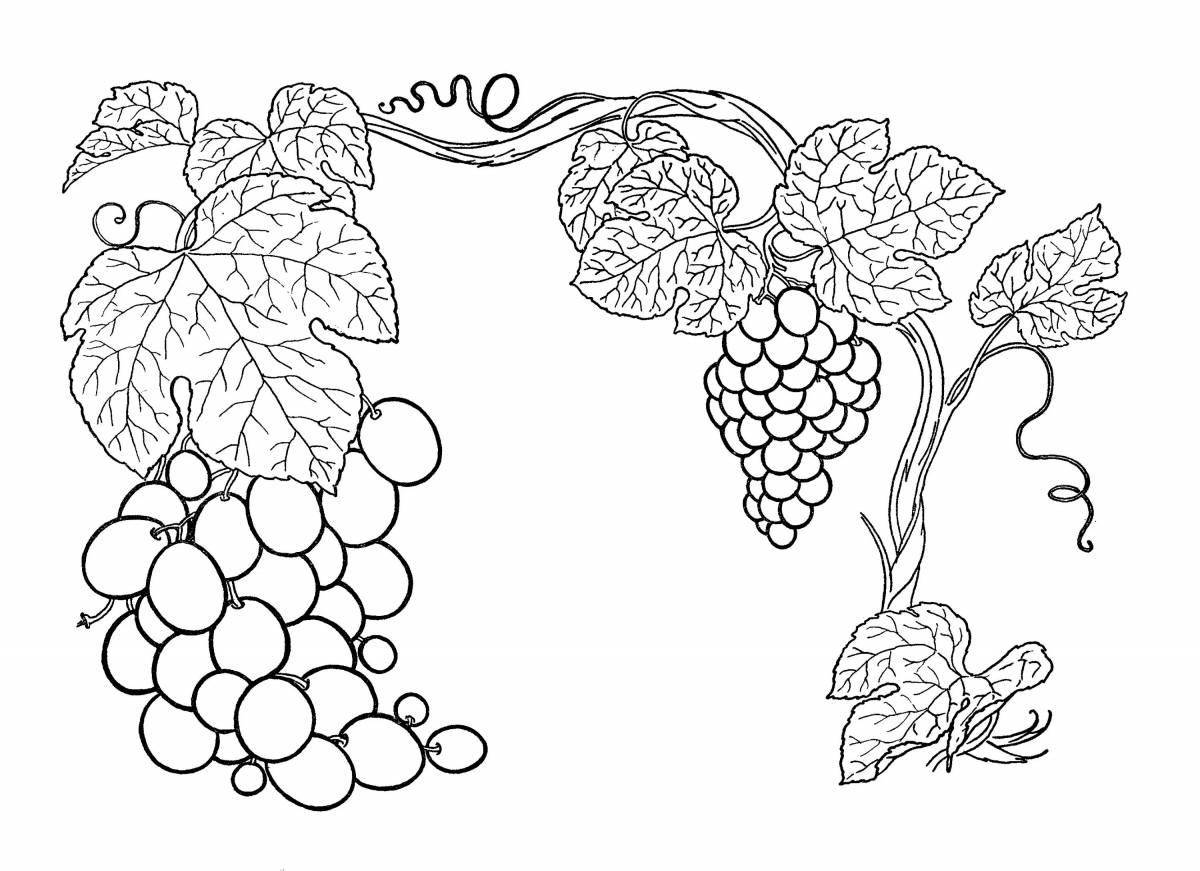 Major coloring vine branch