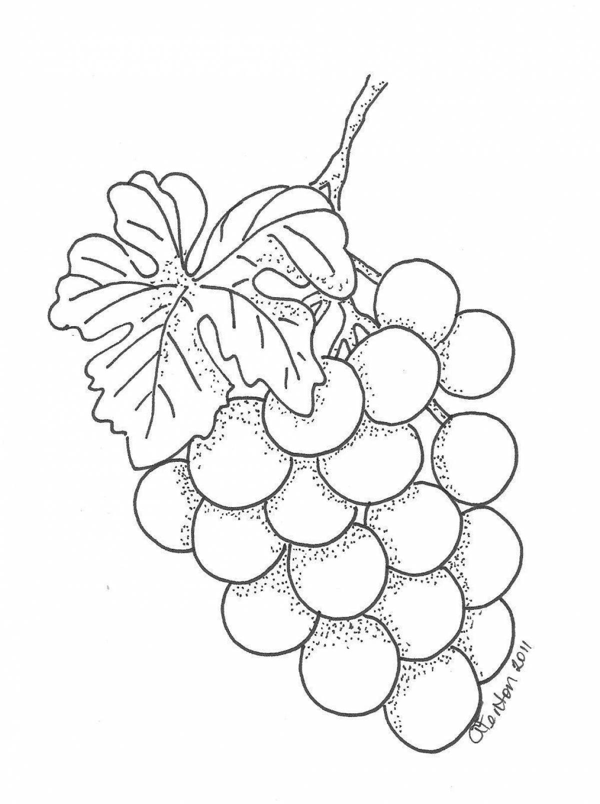 Обильная раскраска виноградная ветвь