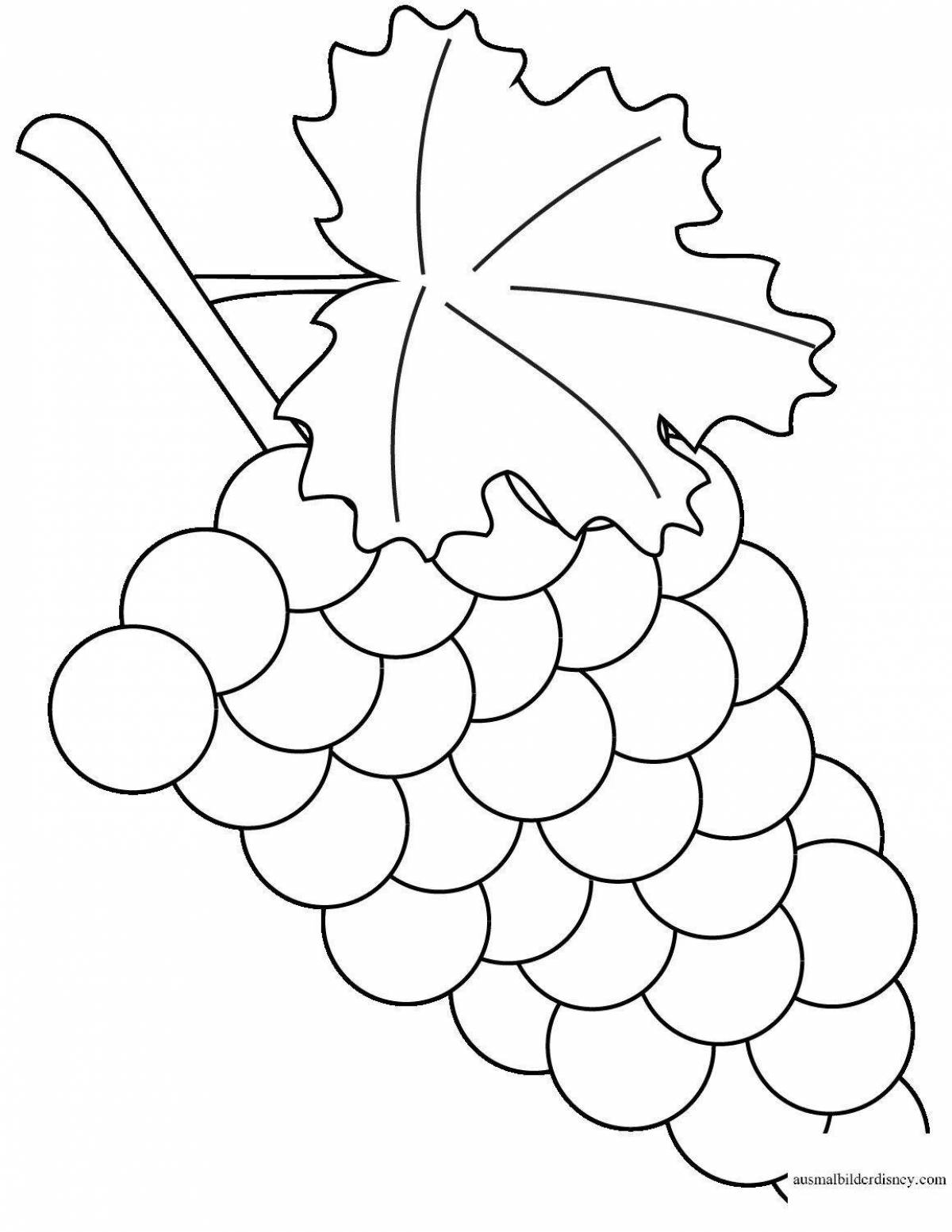 Роскошная раскраска виноградная ветвь