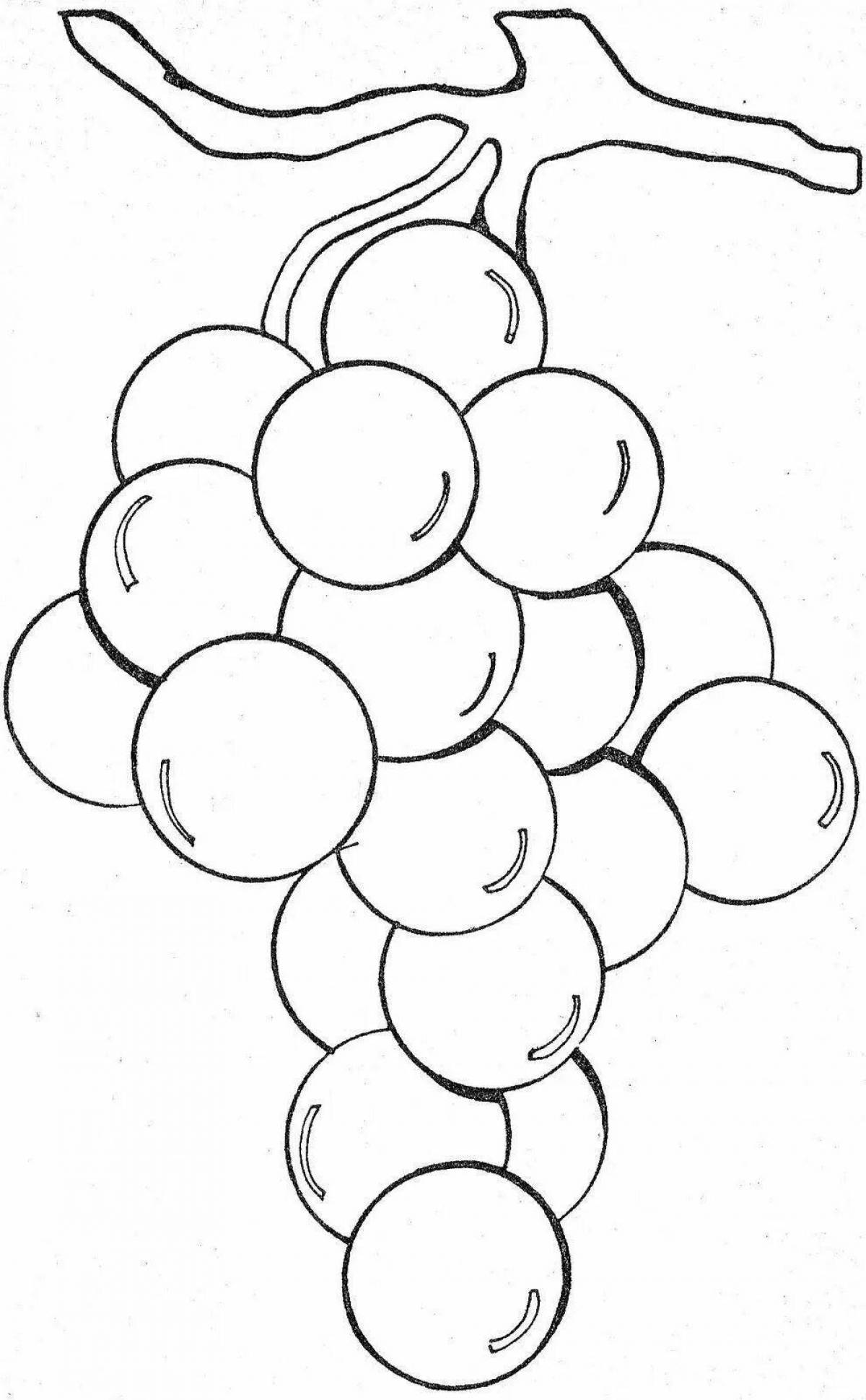 Flowering coloring page vine branch