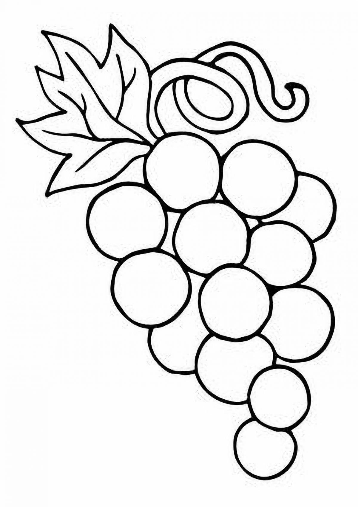 Great vine branch coloring book