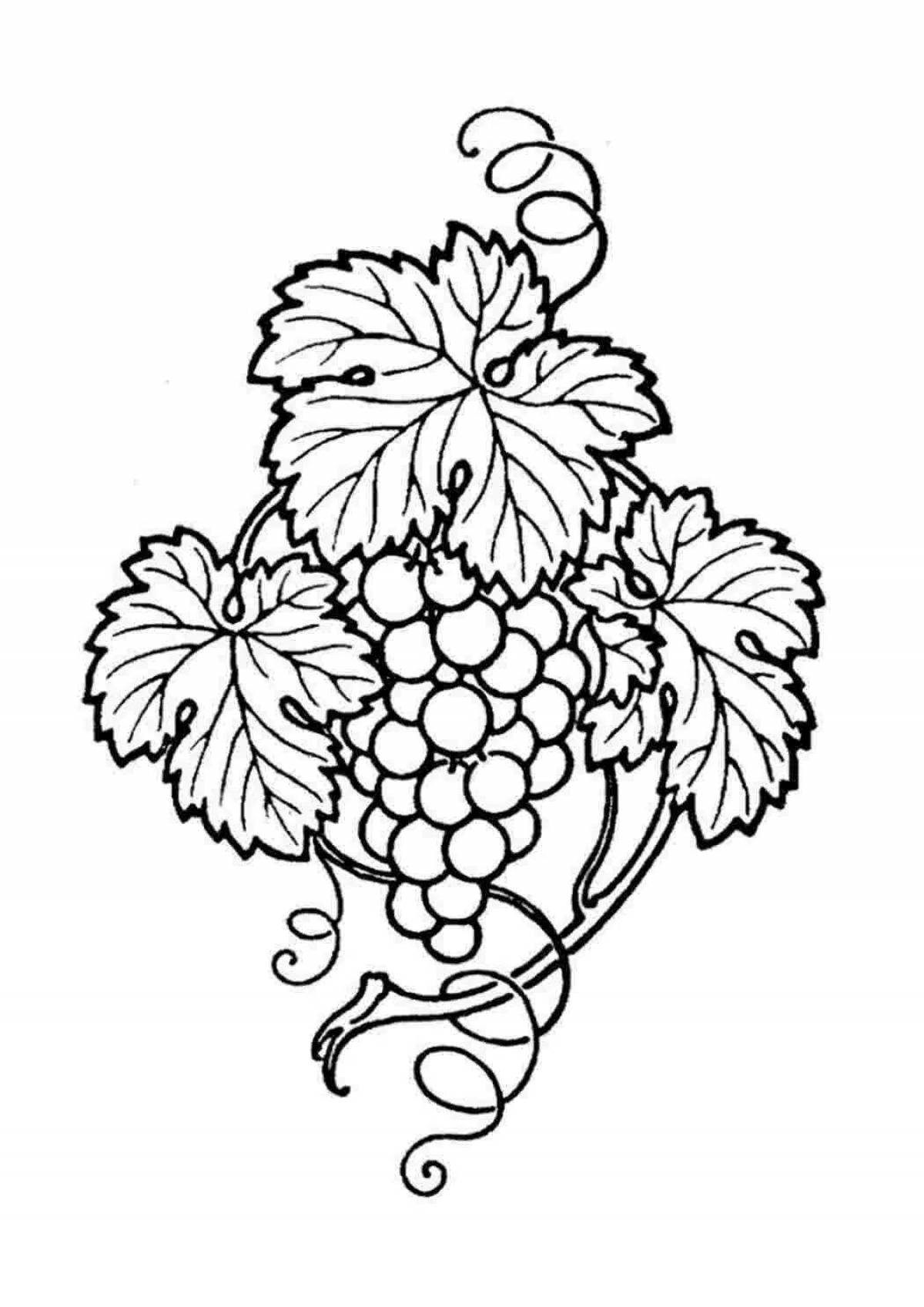 Exalted grape branch coloring page
