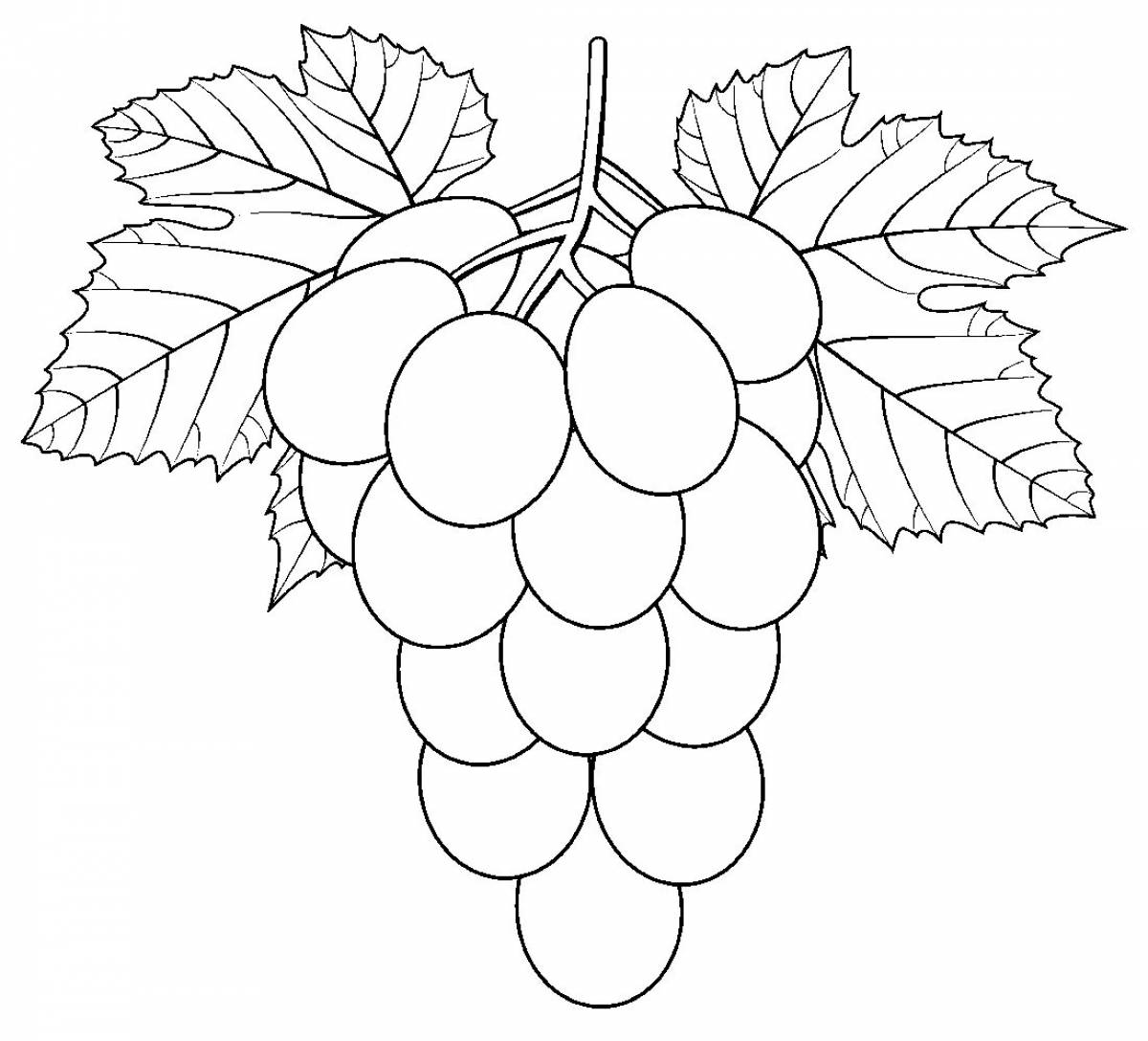 Ветка винограда #5