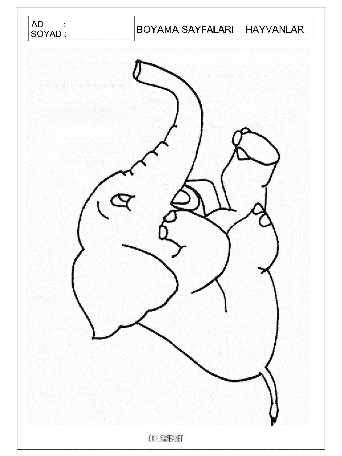 Слон с крыльями раскраска