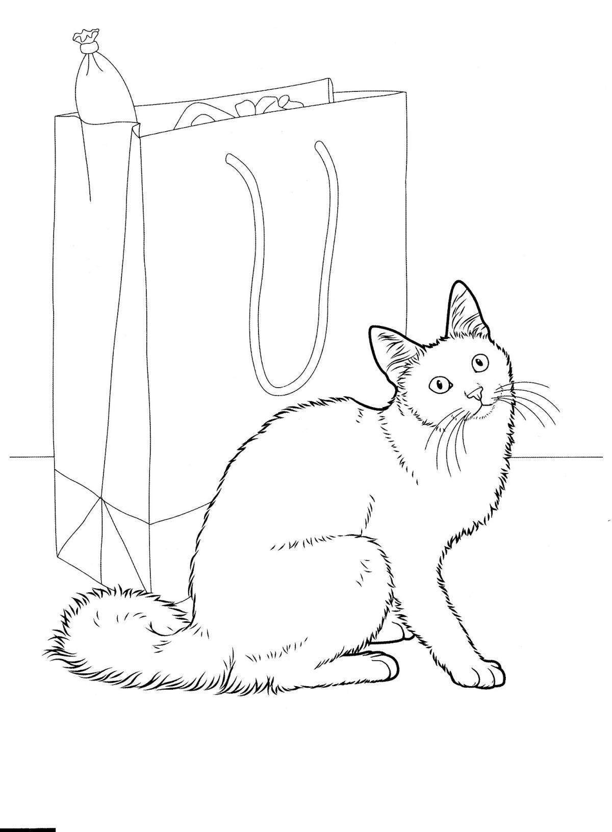 Ангорская кошка раскраска