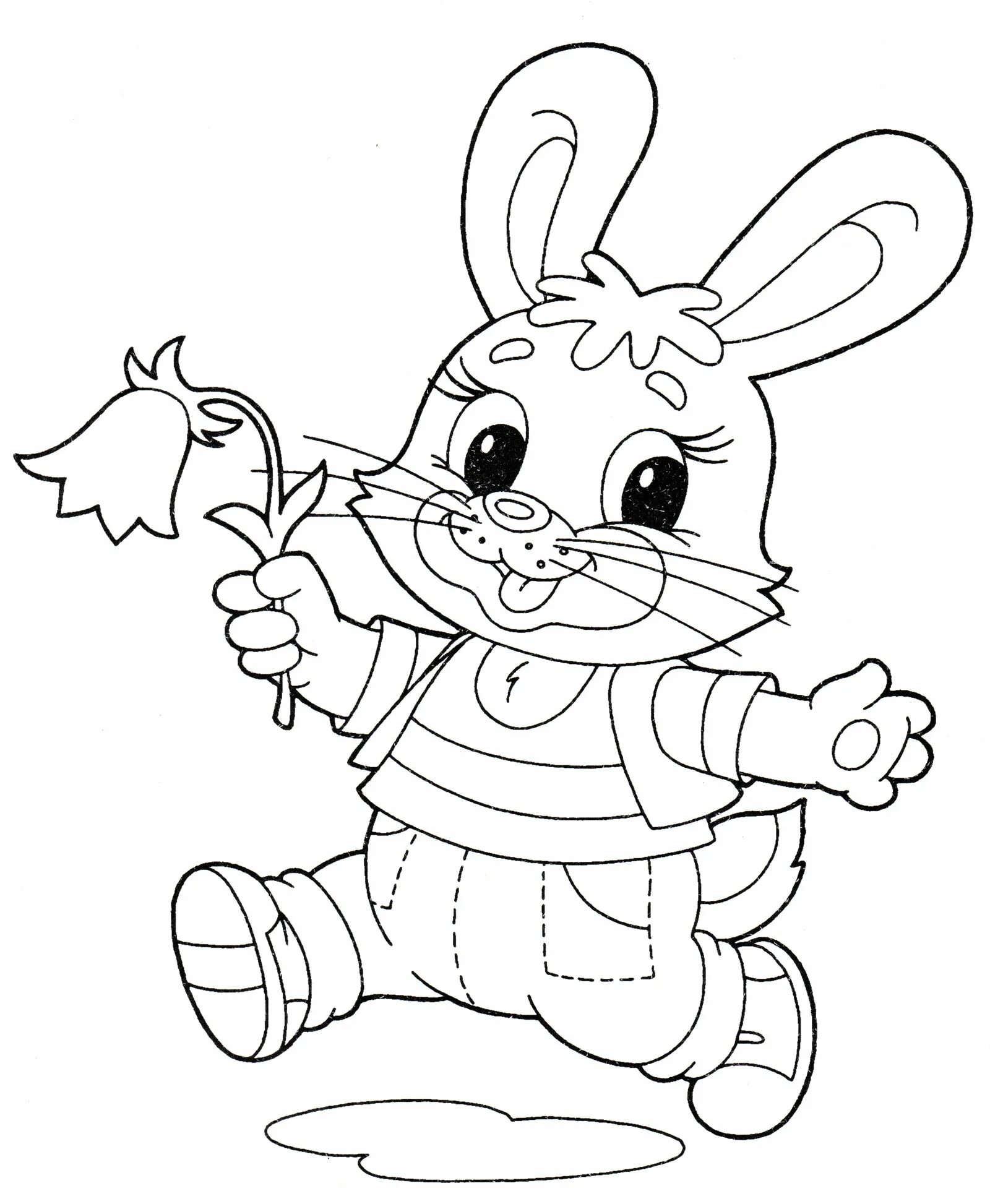 Bunny jumper #2