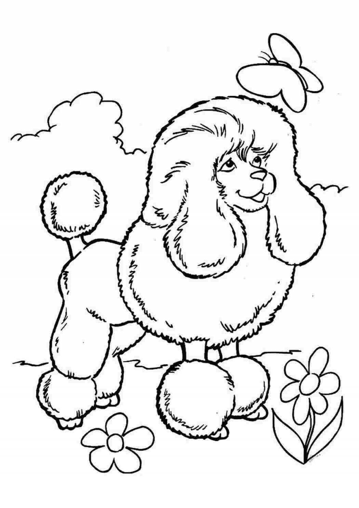 Cute toy poodle coloring book
