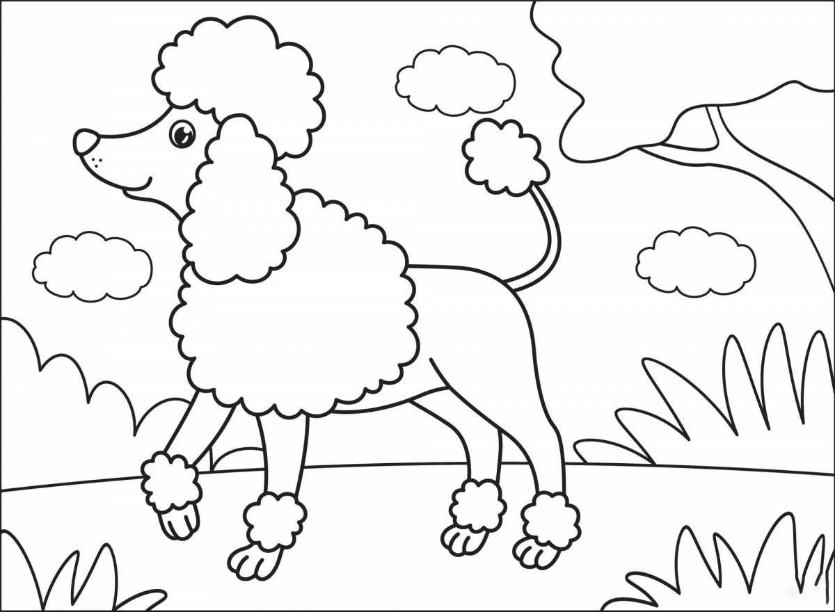 Toy poodle furry coloring page