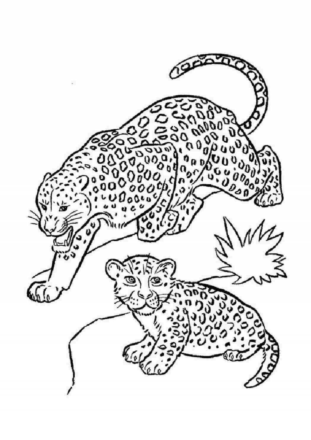 Coloring book amazing leopard cat