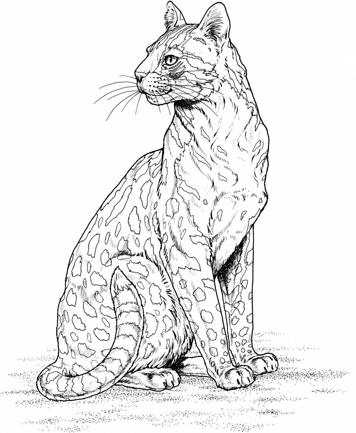Раскраска свирепый леопардовый кот