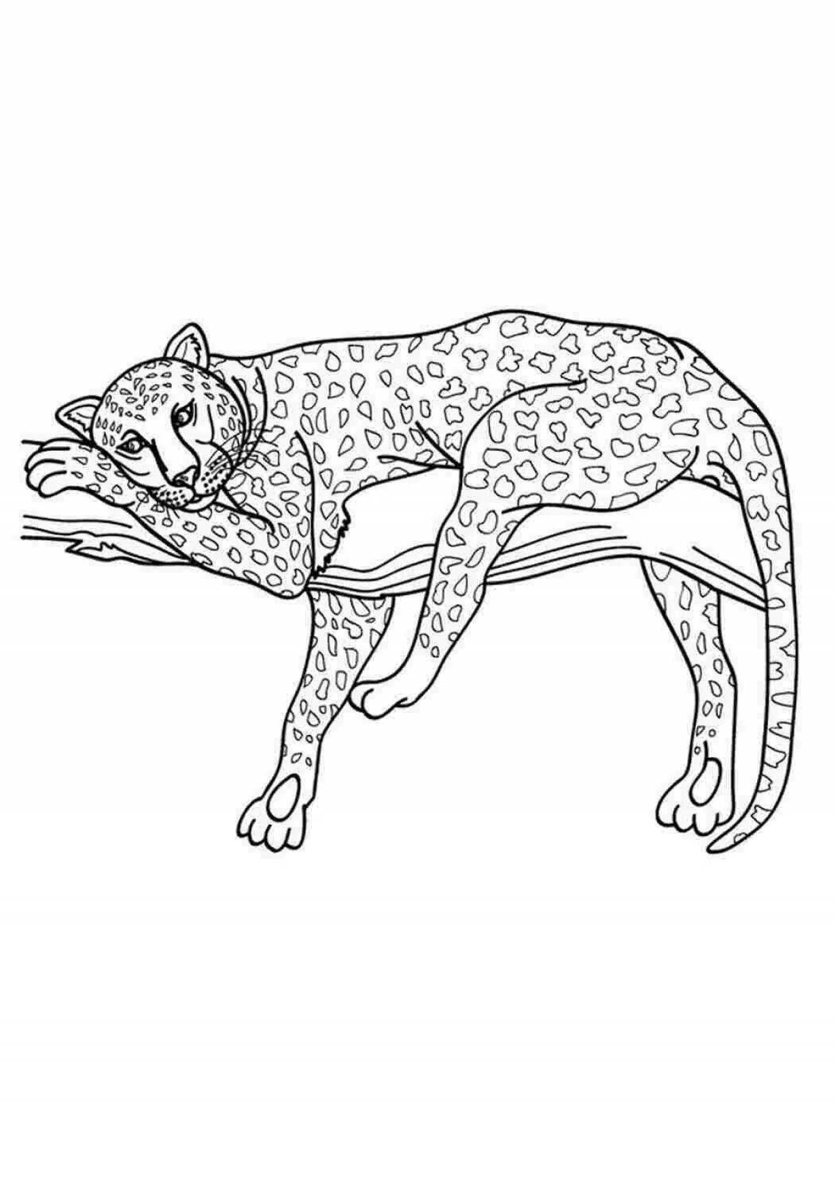 Раскраска великолепный леопардовый кот
