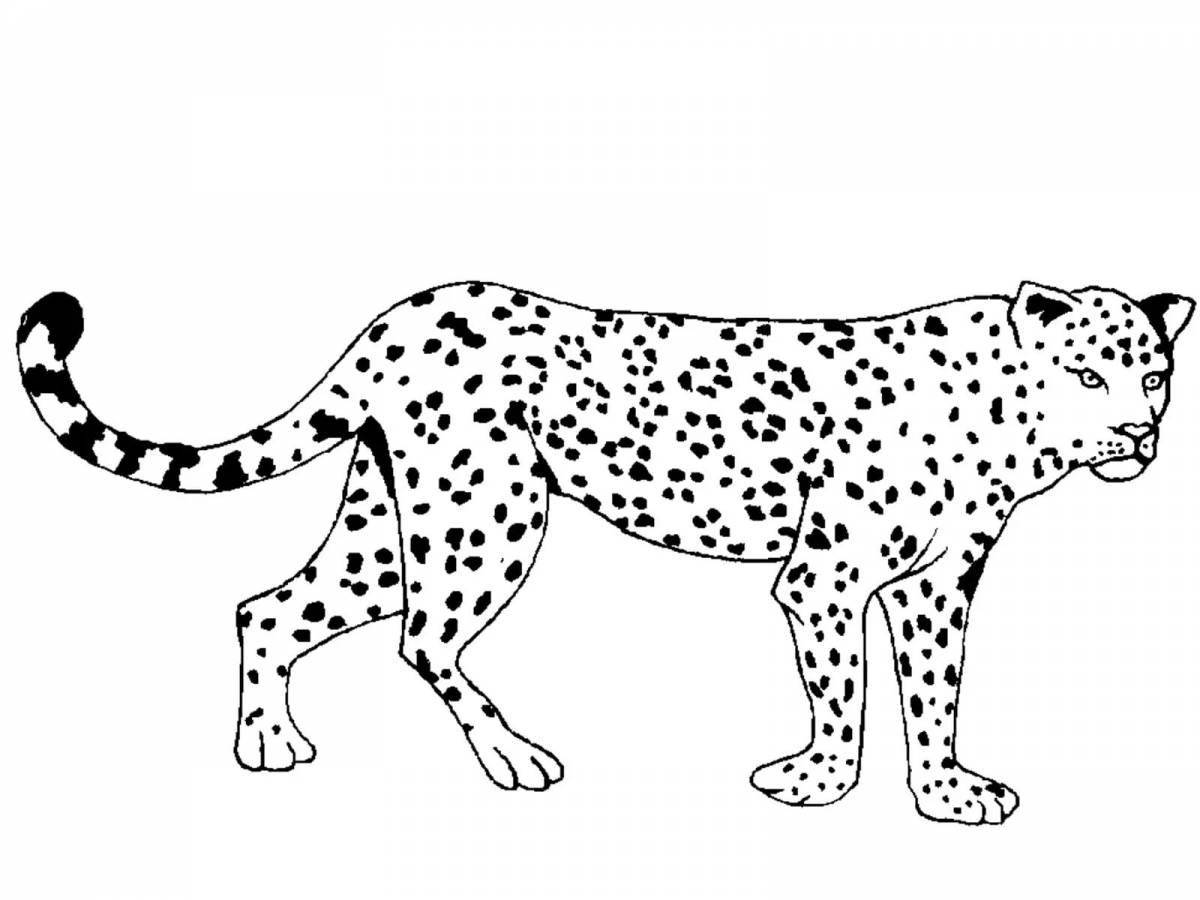Раскраска потрясающая леопардовая кошка