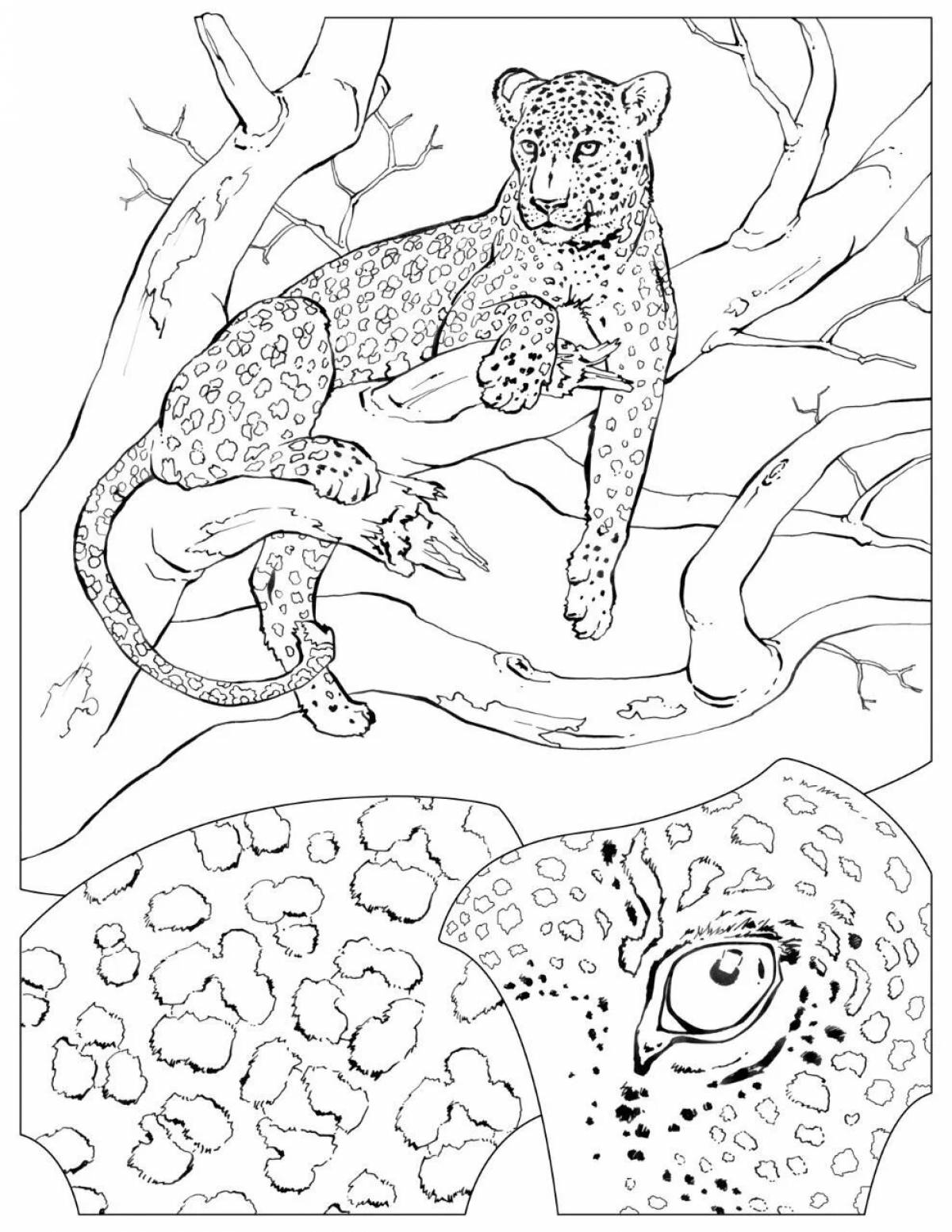 Милая леопардовая кошка раскраска