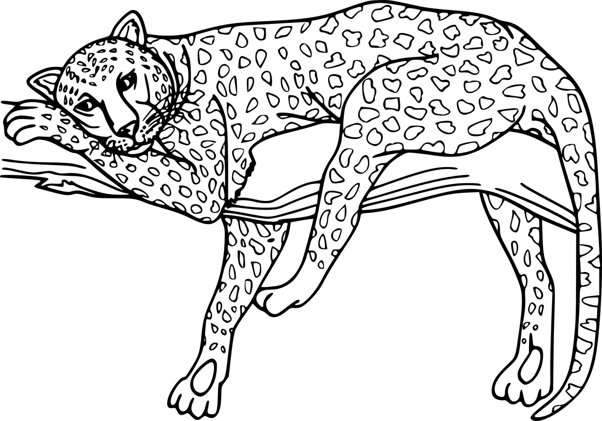 Раскраска забавный леопардовый кот